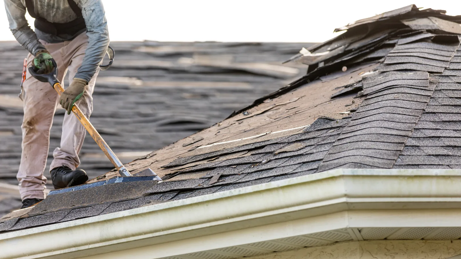 Worn shingles pried up with a shovel by a roofer near the roof edge